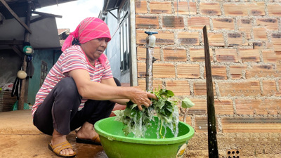 Lâm Đồng: Đảm bảo nguồn nước sạch nông thôn